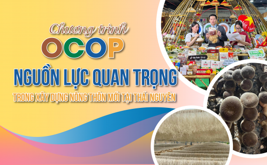 Chương trình OCOP: Nguồn lực quan trọng trong xây dựng nông thôn mới tại Thái Nguyên