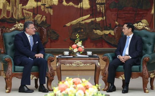 Thúc đẩy các nước thành viên EU còn lại sớm phê chuẩn Hiệp định EVIPA