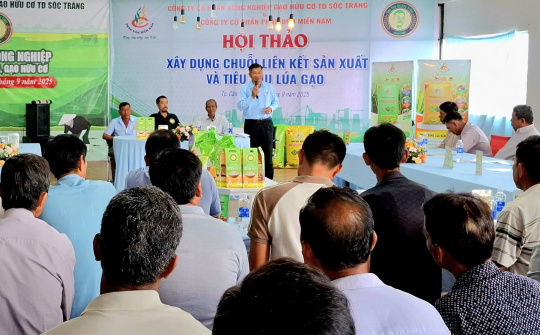 “Xây dựng chuỗi liên kết sản xuất và tiêu thụ lúa gạo” tại Cần Thơ