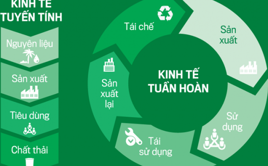 Đề xuất hệ thống chỉ tiêu đánh giá kinh tế tuần hoàn cho doanh nghiệp trong ngành hàng tiêu dùng nhanh tại Việt Nam