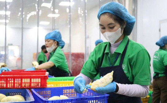 Việt Nam là đối tác thương mại lớn nhất của tỉnh Quảng Đông (Trung Quốc) trong khối ASEAN