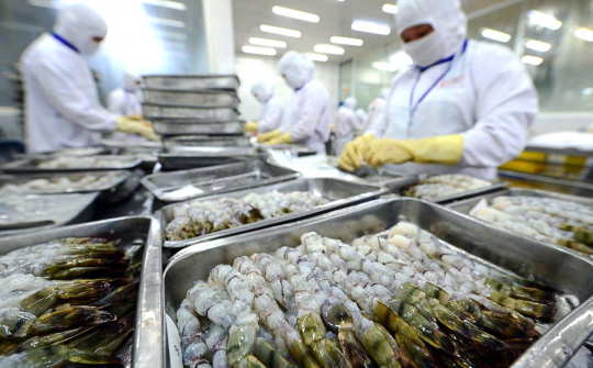 Thực phẩm Sao Ta (FMC): Doanh số tháng 8/2025 tăng 32%, đã đủ đơn hàng tới cuối năm
