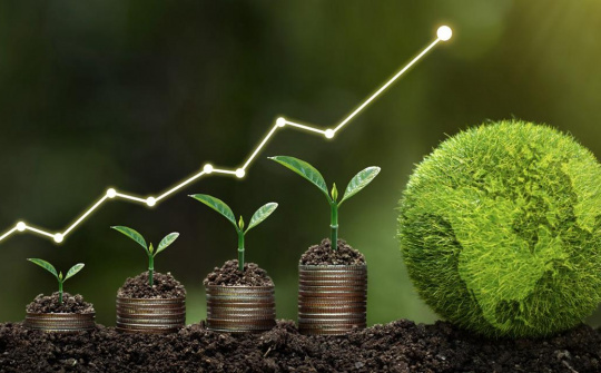 Phát triển bền vững kinh tế xanh: Kinh nghiệm quốc tế và bài học cho Việt Nam