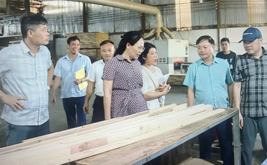 Thanh Hóa: Dấu ấn nổi bật từ Chương trình khuyến công quốc gia giai đoạn 2021-2025