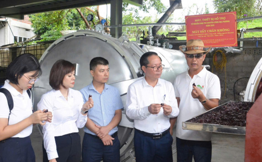 Khuyến công tiếp sức HTX 19/5 nâng tầm sản xuất và chế biến nông sản