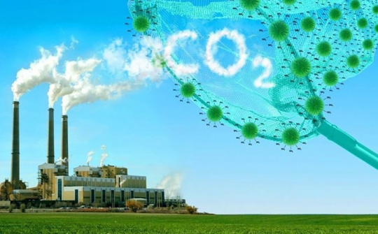 Hoàn thiện chính sách, pháp luật về thị trường carbon - kinh nghiệm một số quốc gia châu Á và gợi mở cho Việt Nam