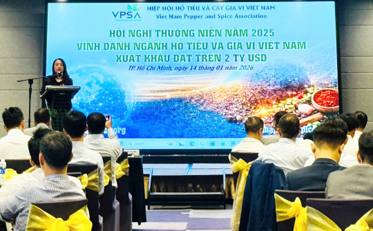 Hồ tiêu Việt Nam lập kỷ lục mới, tiếp tục giữ vị trí nguồn cung số 1 thế giới