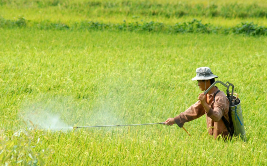 Quy định mới về điều kiện sản xuất, buôn bán thuốc bảo vệ thực vật