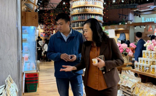 Kiểm tra tình hình cung ứng hàng hóa dịp Tết Nguyên đán 2026 tại tỉnh Lâm Đồng