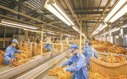 Bộ Công Thương công bố hạn ngạch thuế quan nhập khẩu thuốc lá nguyên liệu năm 2026