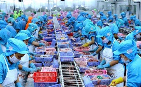 Nhiều thị trường sửa quy định về an toàn thực phẩm và kiểm dịch động, thực vật