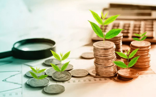 Vốn trí tuệ xanh và hành vi ra quyết định đầu tư bền vững của nhà quản trị