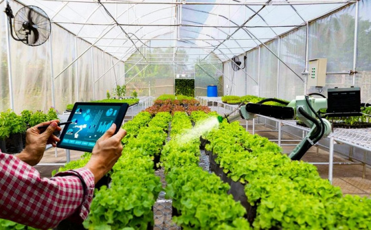 Tác động xã hội của chuyển đổi số trong nông nghiệp