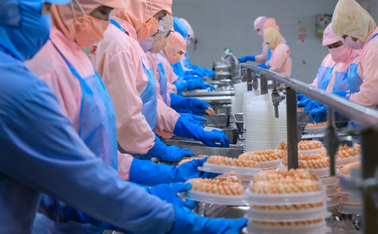 Vietnam’s shrimp exports to France: An analysis based on the gravity model