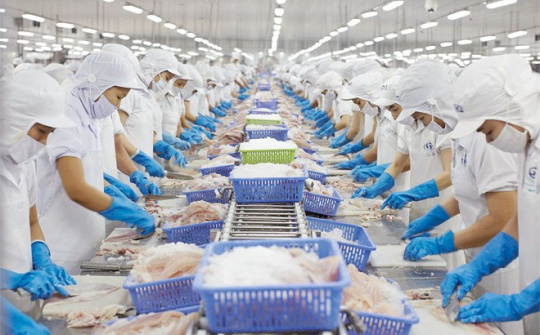 Quy định thẩm định, cấp chứng nhận an toàn thực phẩm thủy sản xuất khẩu