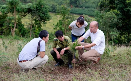 Thiết kế thể chế cho bảo tồn rừng ở cấp làng xã: Kinh nghiệm từ Hàn Quốc và hàm ý với Việt Nam