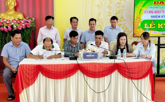 A An phát triển vùng lúa hữu cơ 63 ha theo tiêu chuẩn châu Âu tại Cà Mau