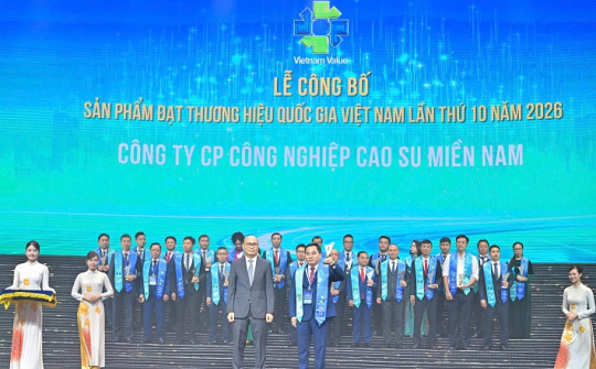 Casumina: Dấu ấn Thương hiệu quốc gia trên chặng đường 50 năm