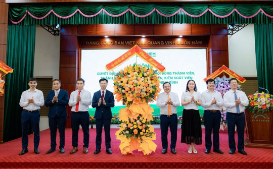 Đạm Ninh Bình kiện toàn bộ máy lãnh đạo