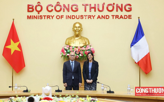 Thứ trưởng Lương Hoàng Thái: Tiếp tục cụ thể hóa các định hướng hợp tác cấp cao giữa Việt Nam và Pháp