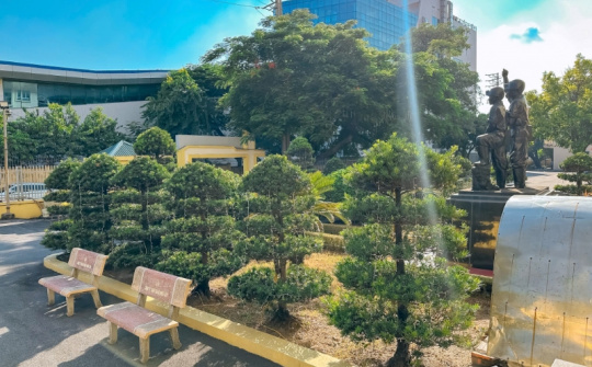 Than Thống Nhất: Tăng cường cải tạo cảnh quan, môi trường các khu nhà tập thể công nhân thợ lò