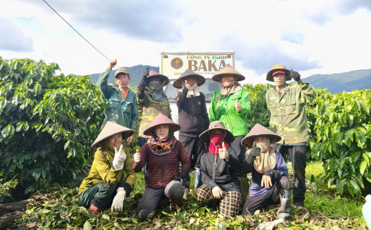 Công ty TNHH BAKA nâng giá trị cà phê Gia Lai bằng đổi mới sáng tạo và ứng dụng khoa học công nghệ