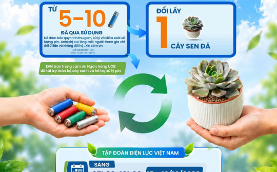 Đoàn Thanh niên EVN phát động chương trình ‘Thu pin cũ - Đổi cây xanh’