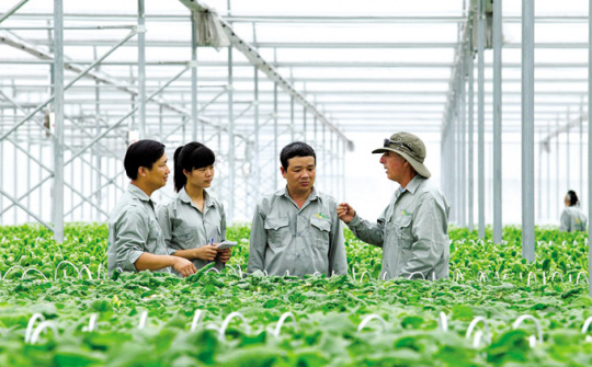 Phát triển bền vững hợp tác xã nông nghiệp ở Việt Nam: Lý luận và thực tiễn