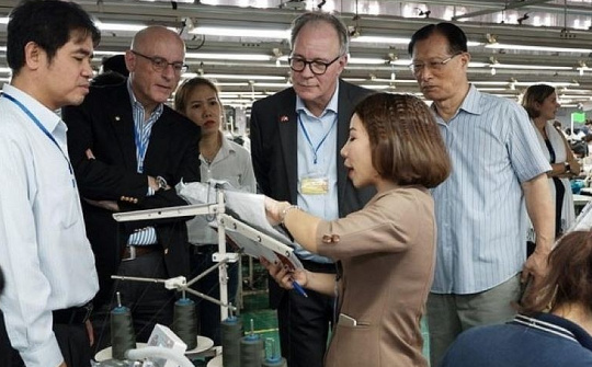 Quản lý nhà nước về lao động nước ngoài tại Thành phố Hồ Chí Minh trong bối cảnh mở rộng địa giới hành chính