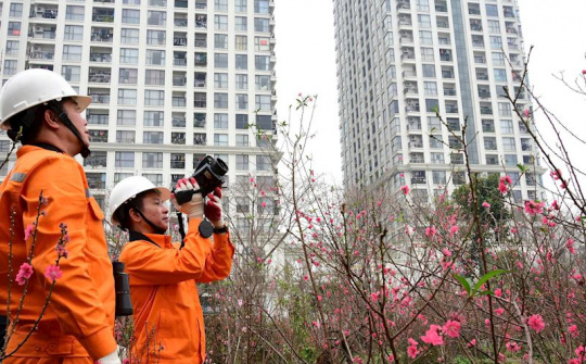 Sau Tết Nguyên đán Bính Ngọ 2026, EVN tăng tốc đảm bảo điện và dự án trọng điểm