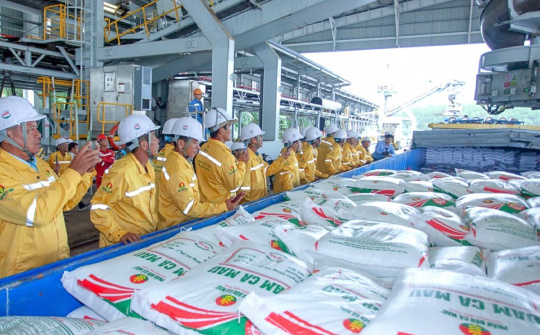 Đạm Cà Mau (DCM): Xuất khẩu lô hàng đầu tiên sang Hoa Kỳ, sản lượng xuất khẩu quý 1 tăng 25%