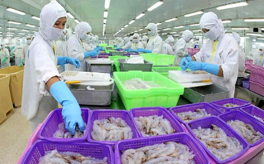 Thực phẩm Sao Ta (FMC): Đón tin vui đầu năm, lợi nhuận 2025 có thể điều chỉnh tăng gấp đôi