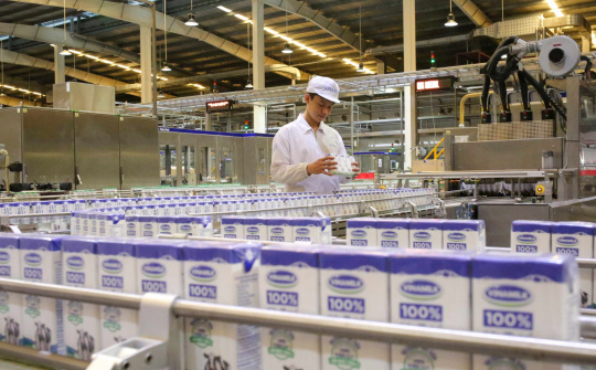 Phát triển chuỗi giá trị ngành sữa bền vững, khẳng định vị thế trên bản đồ khu vực và thế giới