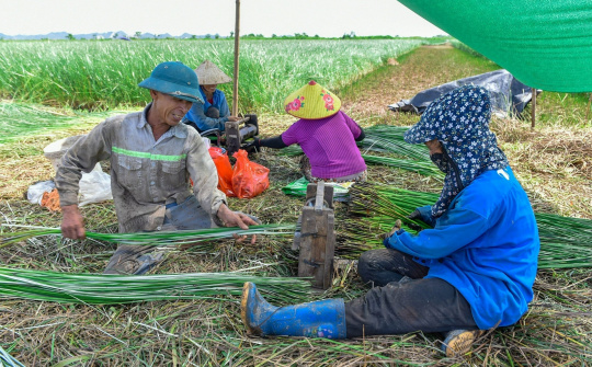 4 nhóm nhiệm vụ, giải pháp đào tạo nghề cho lao động nông thôn đáp ứng yêu cầu mới
