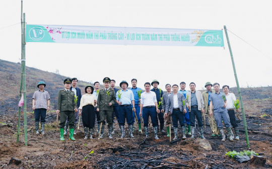 VINAPACO ra quân trồng cây đầu Xuân Bính Ngọ 2026