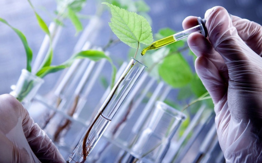 Năm 2028, ban hành bộ chỉ tiêu thống kê công nghệ sinh học phục vụ phát triển kinh tế - xã hội