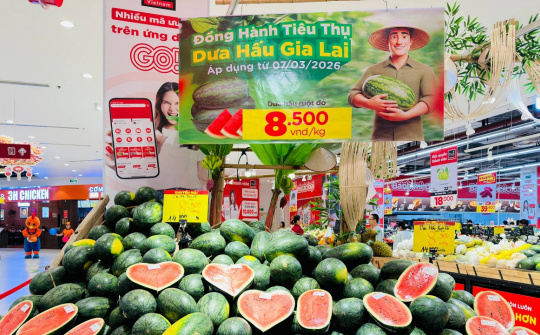 Central Retail Việt Nam triển khai chương trình hỗ trợ dưa hấu Gia Lai