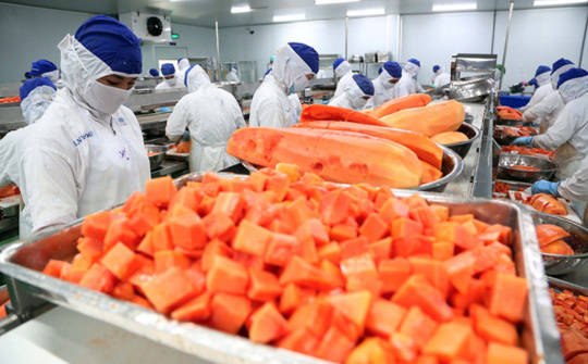 Lưu ý cho doanh nghiệp: Trung Quốc sửa Tiêu chuẩn an toàn thực phẩm quốc gia đối với thực phẩm chế biến