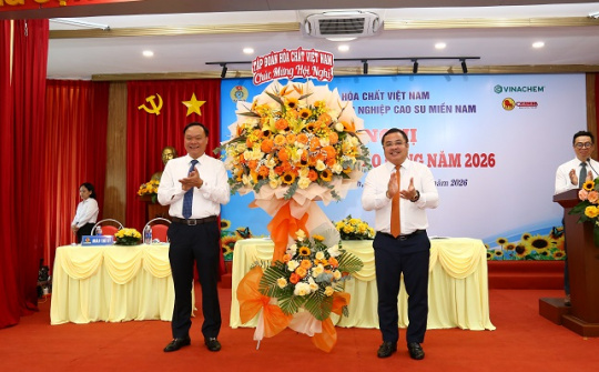 Casumina đặt mục tiêu lợi nhuận 120 tỷ đồng năm 2026