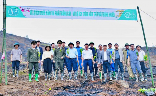 Tổng Công ty Giấy Việt Nam sôi nổi khí thế ra quân trồng cây đầu Xuân Bính Ngọ