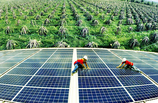 Tăng cường thực hiện tiết kiệm năng lượng, thúc đẩy chuyển dịch năng lượng bền vững