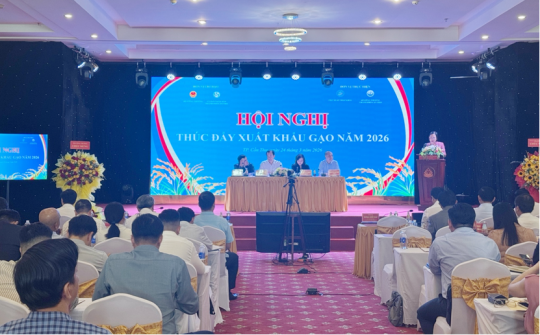 Tiếp tục bám sát diễn biến thị trường, linh hoạt trong điều hành và kinh doanh xuất khẩu gạo