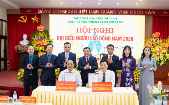 Đạm Hà Bắc đặt mục tiêu doanh thu 4.875 tỷ đồng năm 2026