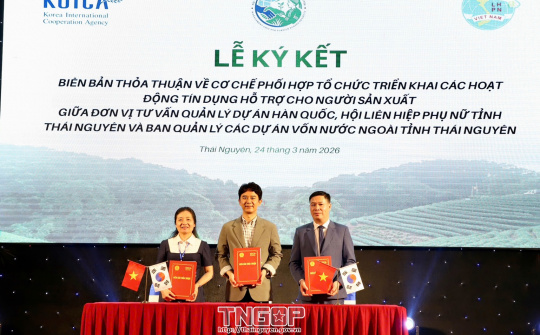 Thái Nguyên triển khai dự án nông nghiệp tuần hoàn xanh gần 289 tỷ đồng