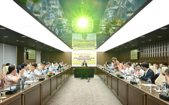 Kiểm tra, giám sát Trụ cột bảo đảm hiệu quả quản trị tại Vinataba