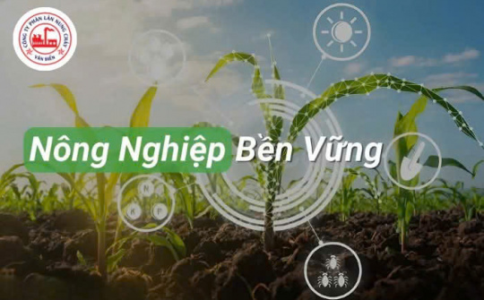 Lựa chọn Phân bón Văn Điển - Giải pháp cho nông nghiệp bền vững