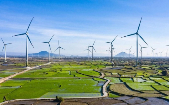 Cơ Điện Lạnh (REE) chốt mua dự án điện gió quy mô 9.100 tỷ đồng