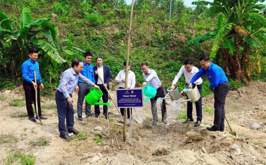 Tuổi trẻ Petrolimex phát động Tết trồng cây và khởi động Tháng Thanh niên năm 2026