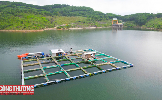 Đà Nẵng: Đến năm 2030, tất cả địa phương có công trình thủy điện có ít nhất 2 mô hình sinh kế hiệu quả cho người dân