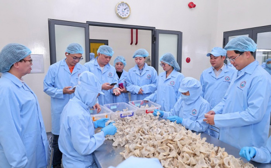 Sanvinest Khánh Hòa: Bức tranh tài chính và năng lực quản trị qua các chỉ số tăng trưởng